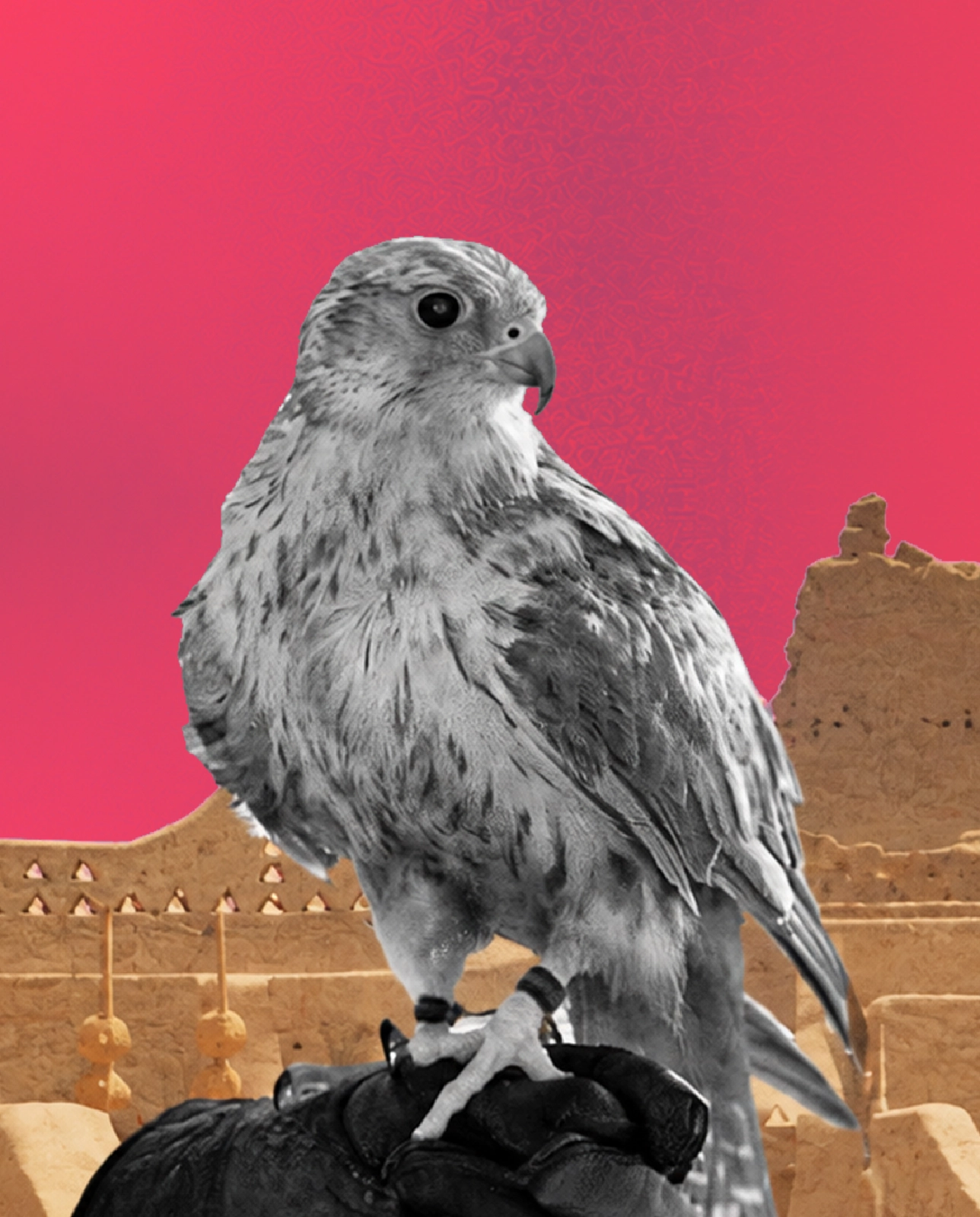 Falcon over old town — marketing for Makkah hospitality and Hajj services, onesolute
